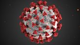 La secuencia genética del coronavirus se envió a la base de datos de EE.UU. dos semanas antes de que la divulgación de China del virus, según documentos