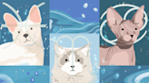 The September 2022 Horoscope for Your Water Sign Cat