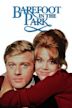 Barefoot in the Park (film)