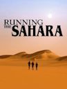 Running the Sahara