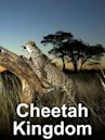 Cheetah Kingdom