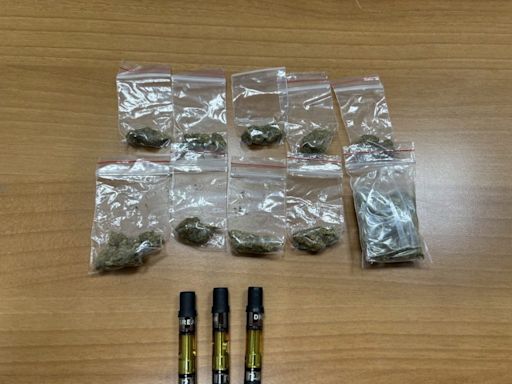 警察巡邏發現異狀 逮捕攜帶大麻菸草及煙彈的馬來西亞籍男子 | 蕃新聞