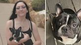 Parents of woman killed in Chandler car crash search for her missing French bulldog