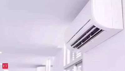 Indian AC industry likely to double in next 4 years: Blue Star