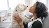 8 ways to get rid of pet smells