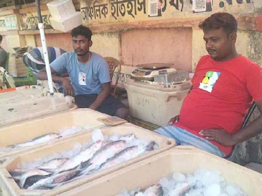 North Bengal rain heralds glad tidings on hilsa