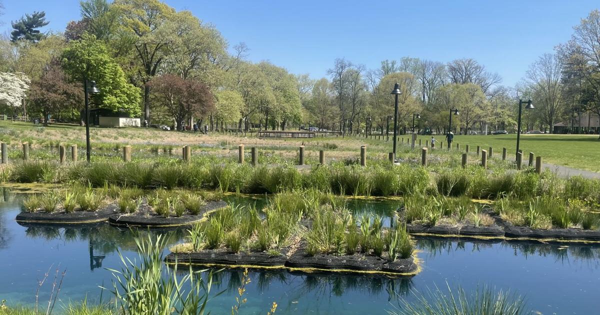 10 things to know about the Long's Park wetlands