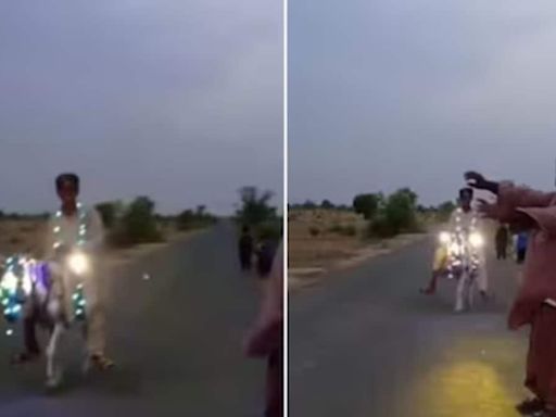 Watch: Boy's Donkey Ride With Curtain Lights Leaves Internet Amused - News18