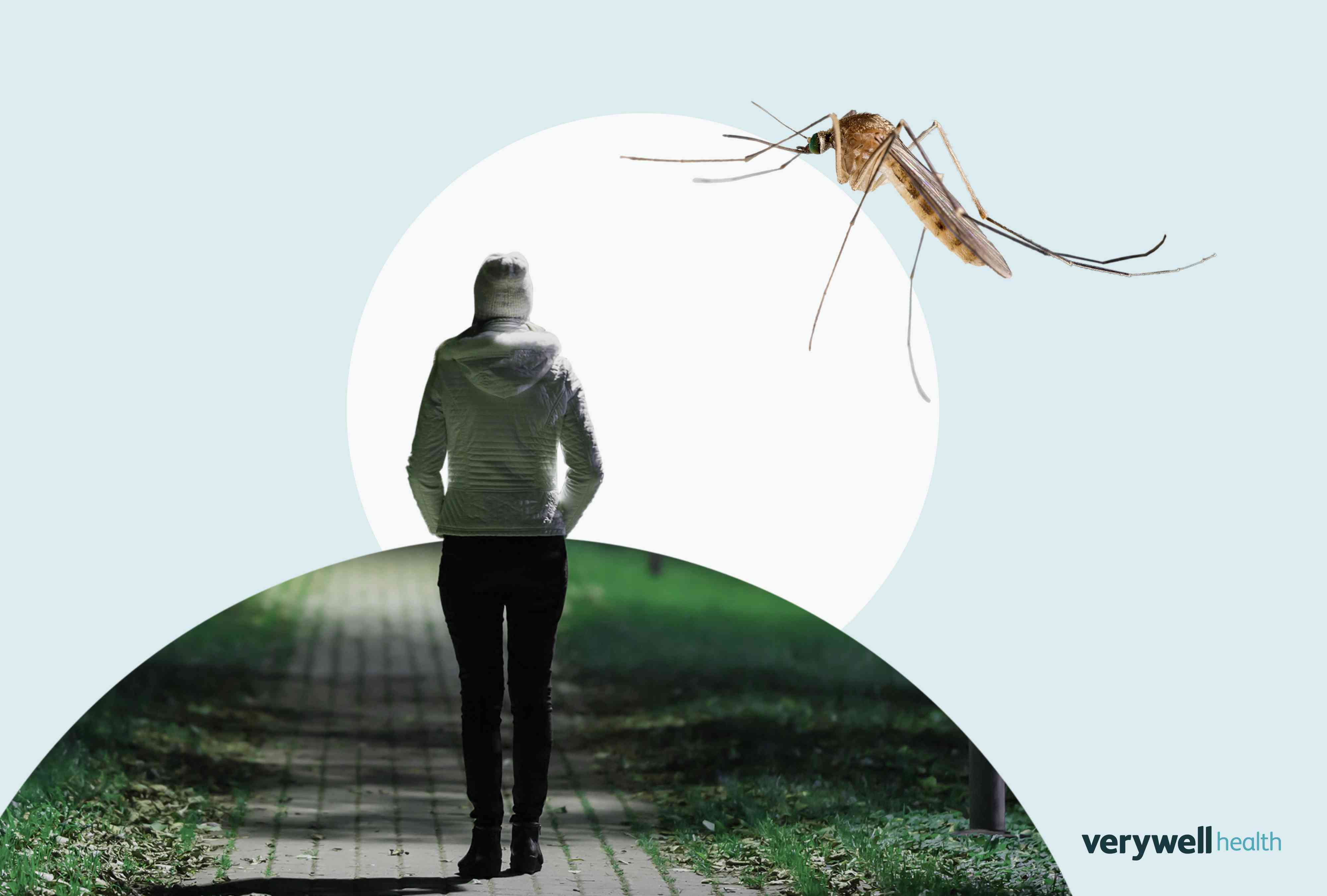 How Worried Should You Be About Getting EEE from Mosquitoes?