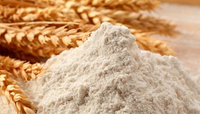 La industria molinera advierte sobre la capacidad ociosa y la oportunidad de exportar más harina de trigo