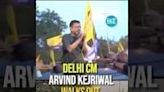 Arvind Kejriwal Finally Walks Out Of Jail, Delhi CM Received By Sea Of AAP Supporters - Watch