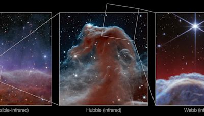 Telescopio espacial James Webb capta la nebulosa “cabeza de caballo” con un detalle sin precedentes