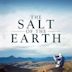 Das Salz der Erde