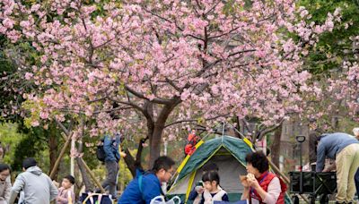 人氣景點新竹公園 去年逾395萬人次造訪