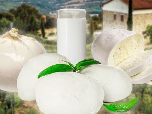 What Makes Fresh Mozzarella Different Than Other Varieties And The Best Ways To Enjoy It