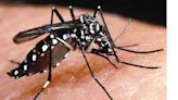2 new dengue cases reported in Gurugram