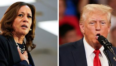 Donald Trump Privately Rants That Kamala Harris Is a ‘B***h’ as His Polls Plunge: NYT