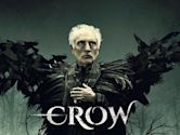 Crow