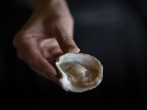 Shuck, slurp, repeat: Exploring Nova Scotia’s oyster trail