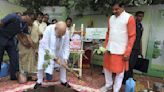 Madhya Pradesh Govt Plants 11 Lakh Saplings, Sets World Record