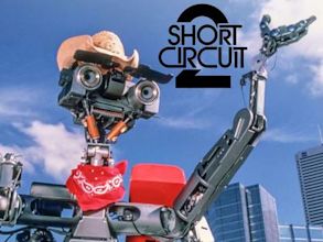 Short Circuit 2