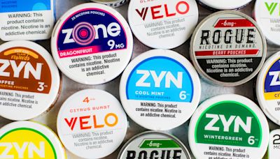 The dark side of Zyn: How tobacco-free nicotine pouches may harm your health