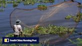 Last-ditch effort to save Mekong fish as dam-building continues in China, Laos