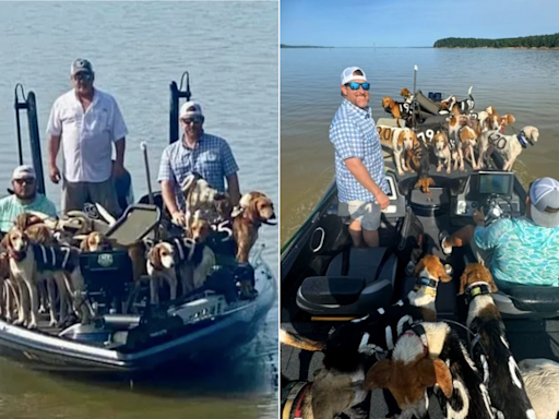 Shocked fishermen rescue 38 dogs they find treading water in Mississippi lake
