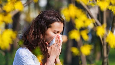 Met Office warns Cambridgeshire will see 'high' pollen levels this week
