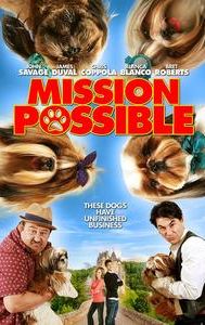 Mission Possible