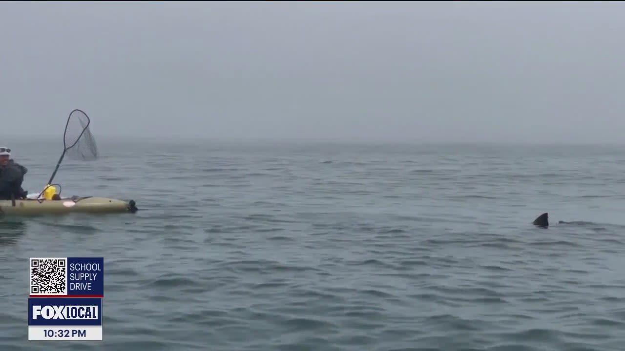 Kayakers' shark encounter at Half Moon Bay caught on video