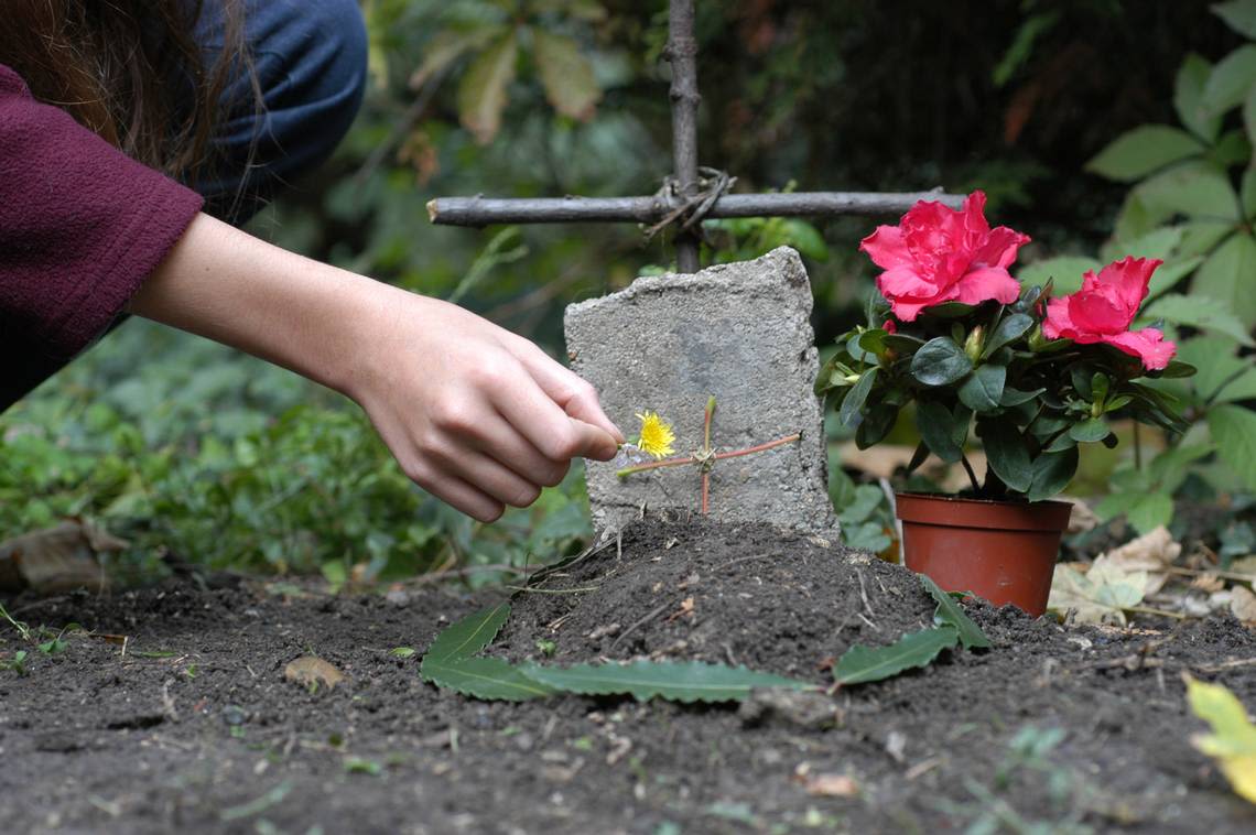 Are you allowed to bury your pet in your backyard in Washington? Here’s what the law says