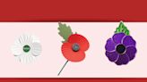 Which side do you wear a poppy on and what are different coloured poppies for?