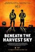 Beneath the Harvest Sky