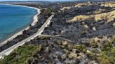 Firefighters continue to battle five wildfires in Turkey