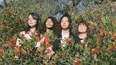 La Luz: Surfy Harmonies as High Art