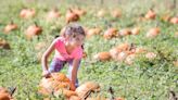 It's pumpkin carving time: Pensacola area pumpkin patches to get you into the fall spirit