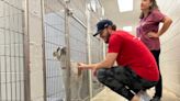Orioles pitcher Cole Irvin to help host donation drive and adoption event at BARCS
