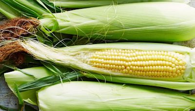 I’m from the Midwest — Here’s the No. 1 Rule I Always Follow to Pick the Most Delicious Corn