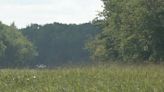 'New Brunswick safari': A guided tour of lower Wolastoq wetlands