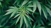 Ohio regulators unveil more recreational marijuana rules: Capitol Letter
