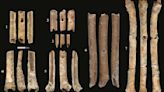 12,000-year-old flutes carved of bone are some of the oldest in the world and sound like birds of prey