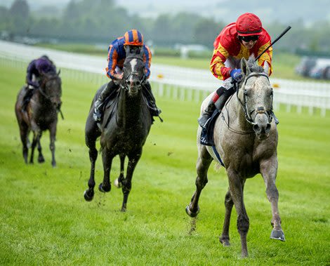 White Birch Tops Auguste Rodin in Gold Cup