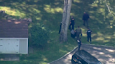 Bear attacks 7-year-old boy in New York backyard