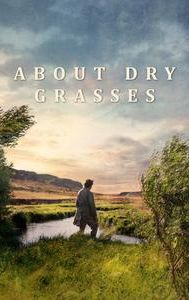 About Dry Grasses