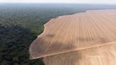 Brazil plans Amazon grain train behind their backs, Indigenous groups say