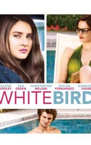 White Bird in a Blizzard