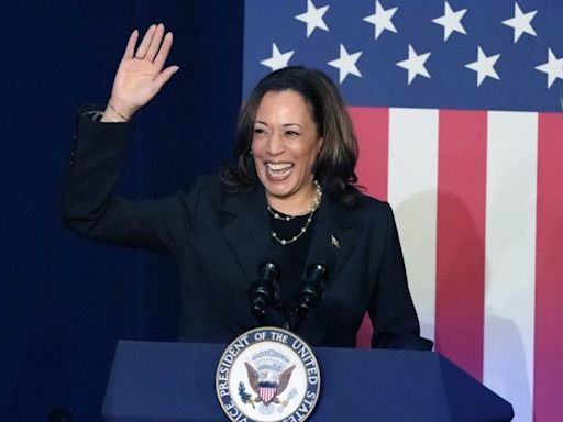 State Democratic Party chairs endorse Harris