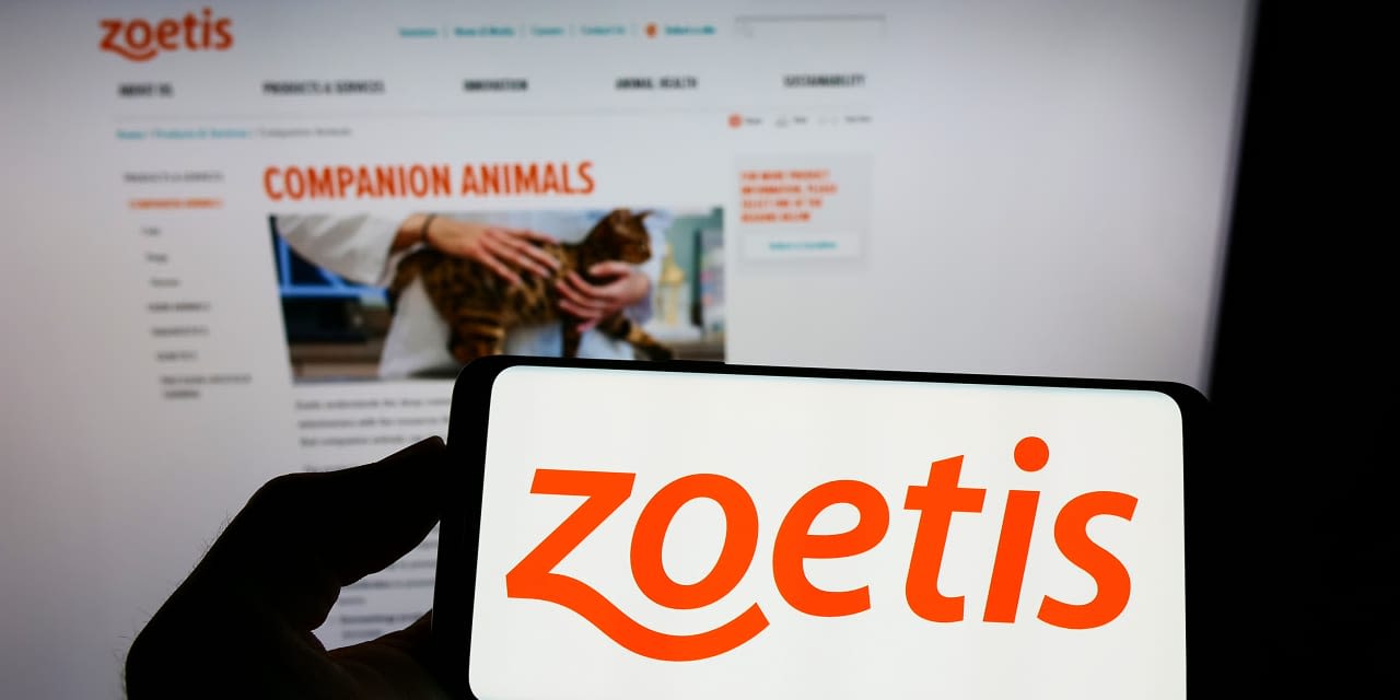 Zoetis Stock Climbs on Earnings Beat, but Worries Linger Over Key Medicine