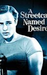 A Streetcar Named Desire (1951 film)